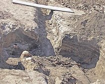 Останки 441 человека, расстрелянных во время войны, захоронят в Днепропетровске