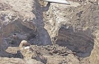 Останки 441 человека, расстрелянных во время войны, захоронят в Днепропетровске