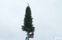 На Софийской площади в Киеве начали устанавливать новогоднюю елку