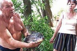 В Днепре обнаружили пиранью