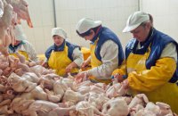ЄС без попередження припинив імпорт курятини з України