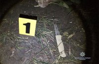 Полиция взяла под охрану табор ромов во Львове