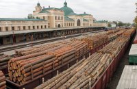 У Порошенко подтвердили подготовку законопроекта об экспорте леса