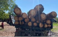 Росіяни знищили понад 60 тисяч гектарів українських лісів