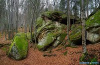 Обзор №4. Вижница, Черновецкая область, Буковинские Карпаты