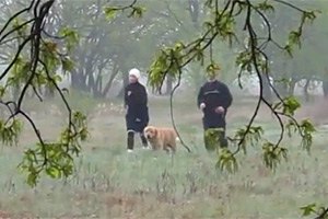 Тимошенко бегает в СИЗО