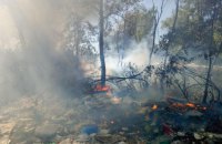 В Киеве загорелась свалка на Русановских садах
