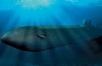 Южная Корея потеряла из виду четыре подлодки КНДР