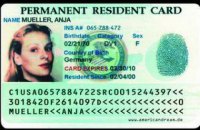 В США судьи заблокировали распоряжение Трампа об ужесточении выдачи грин-карт