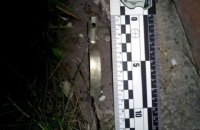 В Харьковской области во двор частного дома бросили несколько гранат