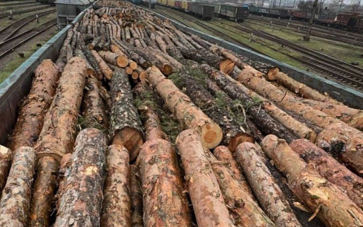 Вивозили цінну деревину вагонами в Румунію: в Україні викрили масштабну схему контрабанди лісу