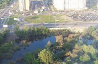 Из-за стройки на Позняках погибают десятки выводков  птиц