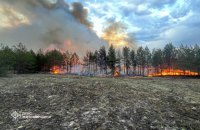 На Чернігівщині через масштабну лісову пожежу готуються до можливої евакуації людей