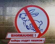 Сотрудники ПЖД за месяц изъяли 172 «липовых» проездных документа 