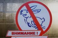 Сотрудники ПЖД за месяц изъяли 172 «липовых» проездных документа 