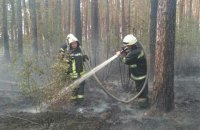 У Києві біля Троєщини загорівся ліс