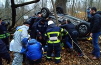 Под Чернобылем при столкновении авто с диким животным пострадали 4 человека