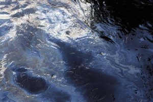 Во Львовской области в реку попала нефть