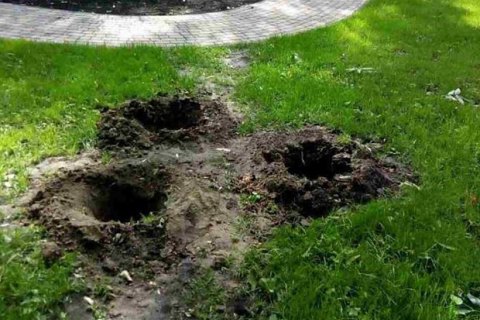 В киевском парке украли недавно высаженные туи