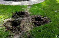 В киевском парке украли недавно высаженные туи