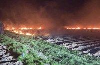 Силы ПВО сбили российскую крылатую ракету над Киевщиной