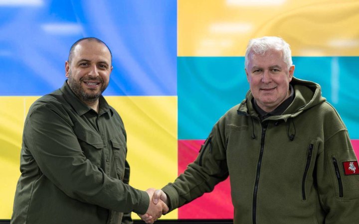 Литва готова надати Україні радників для реформ і боротьби з корупцією, - міністр оборони Анушаускас