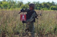 Рада разрешила прямое донорское финансирование по разминированию на Донбассе