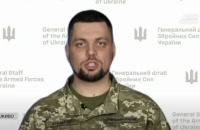 На Мелітополському напрямку триває наступальна операція Сил оборони, – речник Генштабу