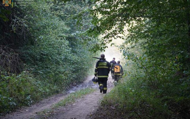 Через російську агресію в Україні пошкоджено десятки тисяч гектарів лісу, – ОГП 