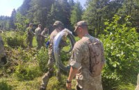 ​Поток мигрантов из Беларуси в Литву на выходных побил все возможные рекорды