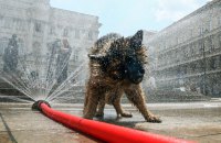 5 серпня в Україні знову прогнозують сильну спеку