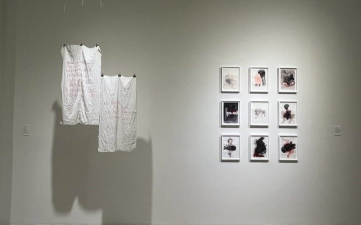 Нью-Йоркська Fridman Gallery відкрила виставку українських художниць «Жінки на війні» 
