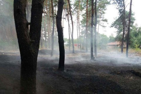 В Полтавской области за сутки потушили два лесных пожара