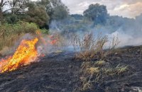 Росіяни обстріляли чотири райони Харківщини, жертв і постраждалих немає