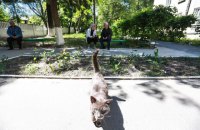 У вівторок у Києві буде до +26 градусів