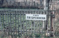 Брежнев не заслужил, чтобы улица в Днепропетровске носила его имя, - эксперт 