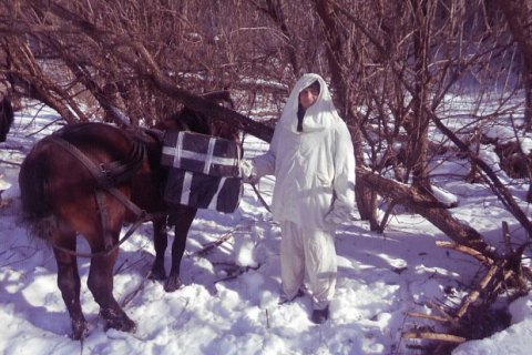 На границе с Румынией задержали трех лошадей с контрабандными сигаретами