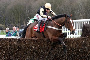 Grand National-2013 потеряли фаворита