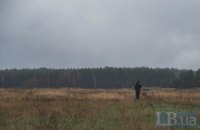Рада схвалила закон, що узаконює самосійні ліси на землях с/г призначення