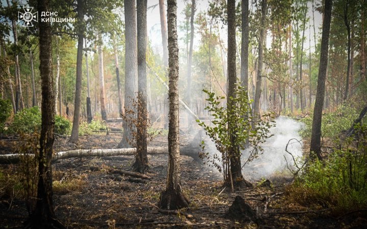 У Чорнобильській зоні відчуження вдалося ліквідувати масштабну лісову пожежу