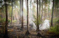 У Чорнобильській зоні відчуження вдалося ліквідувати масштабну лісову пожежу