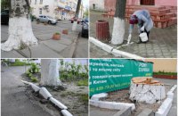 Побелка бордюров по весне – советская традиция лживой эстетики