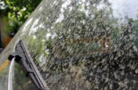 В Ужгороде выпал оранжевый дождь