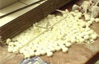 Под Харьковом обнаружен цех с опасными ядами