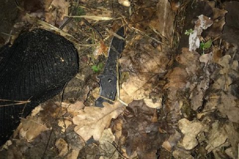 У Києві п'яний поліцейський-водій порізав ножем колегу-патрульного