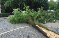 881 населенный пункт обесточен из-за непогоды в Украине