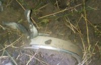 Унаслідок ворожого обстрілу села у Запорізькій області пошкоджені приватні будинки