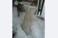 В Ровно оставили на улице мешок с 14 кг янтаря 