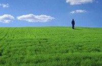 На реализацию экологической программы в Днепропетровской области потратят 11 млн грн