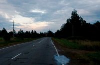 ​"Разрушенная" винницким кандидатом дорога оказалась неповрежденной 